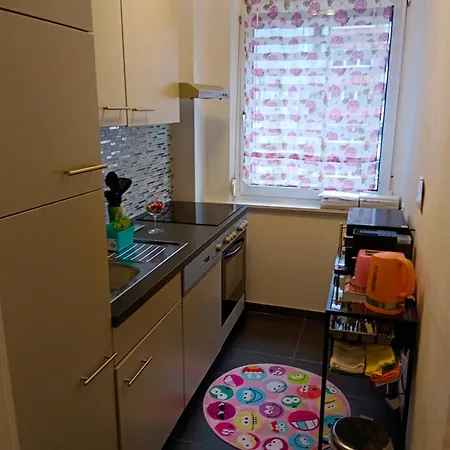 City Apartment זלצבורג